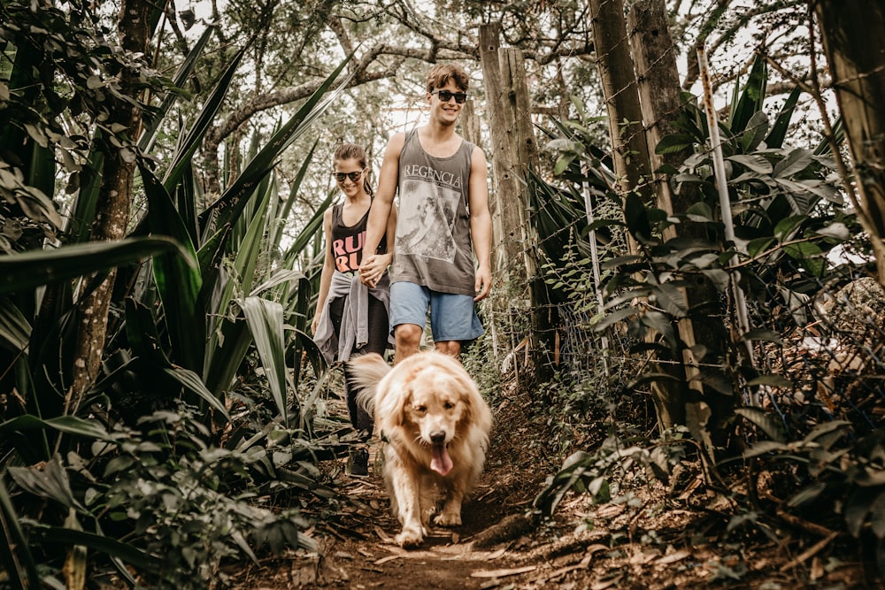 smiling man and woman holding hands together while walking on forest together with brown dog