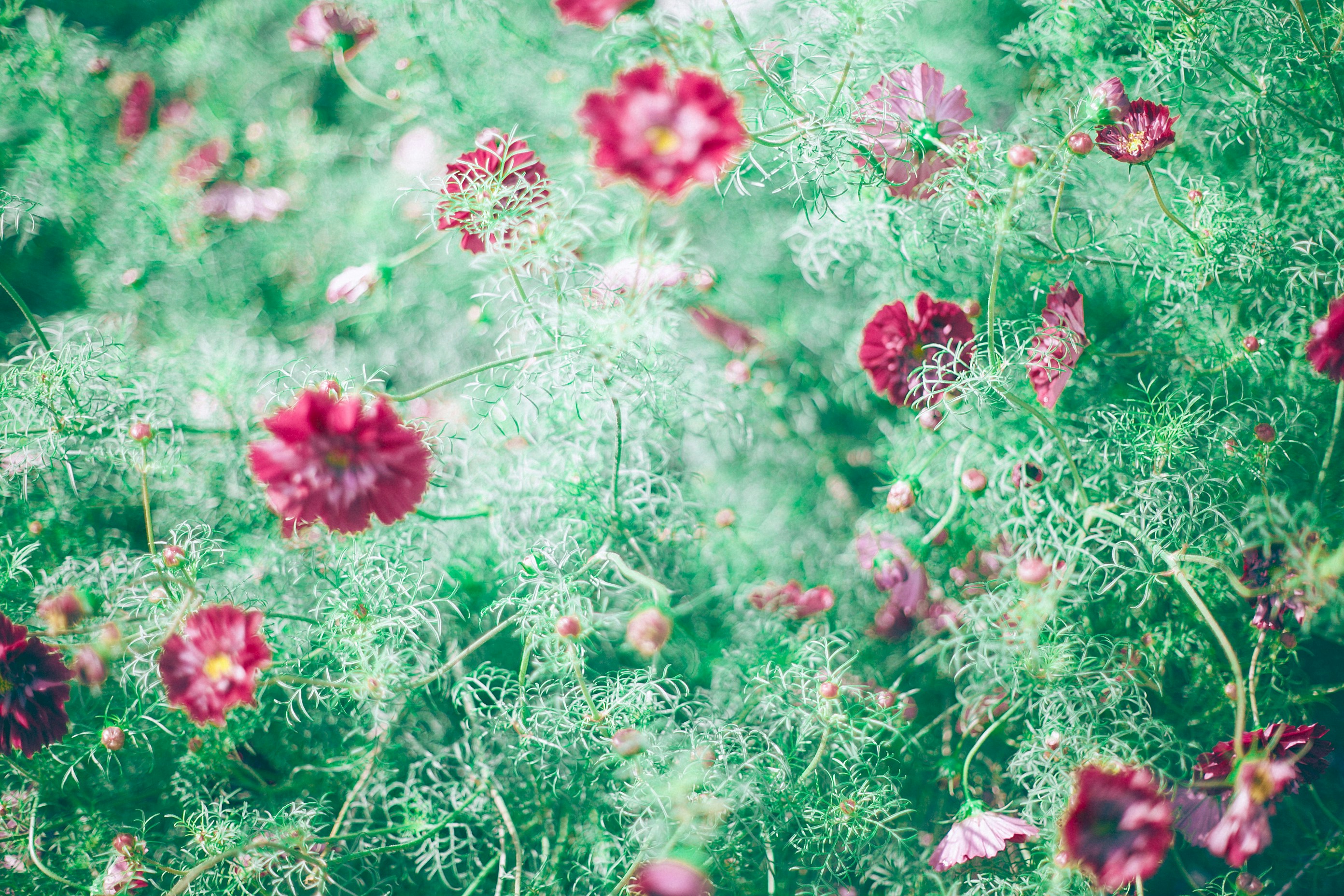 Photo by orlovamaria