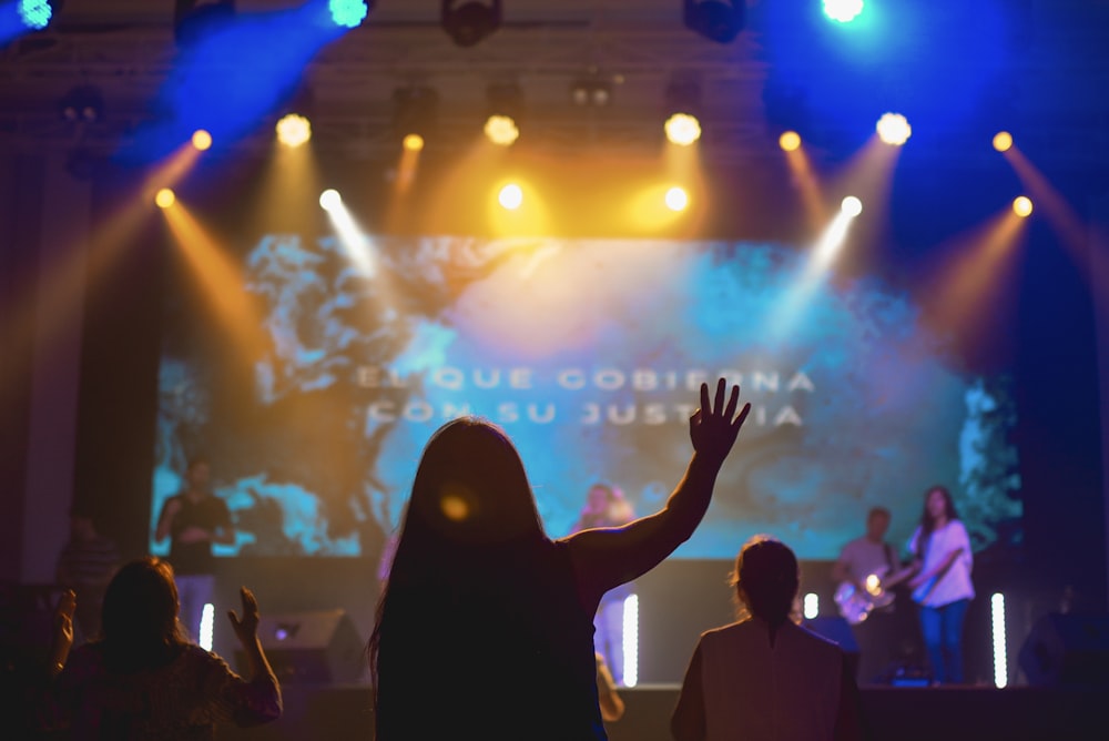 people attending on concert inside building