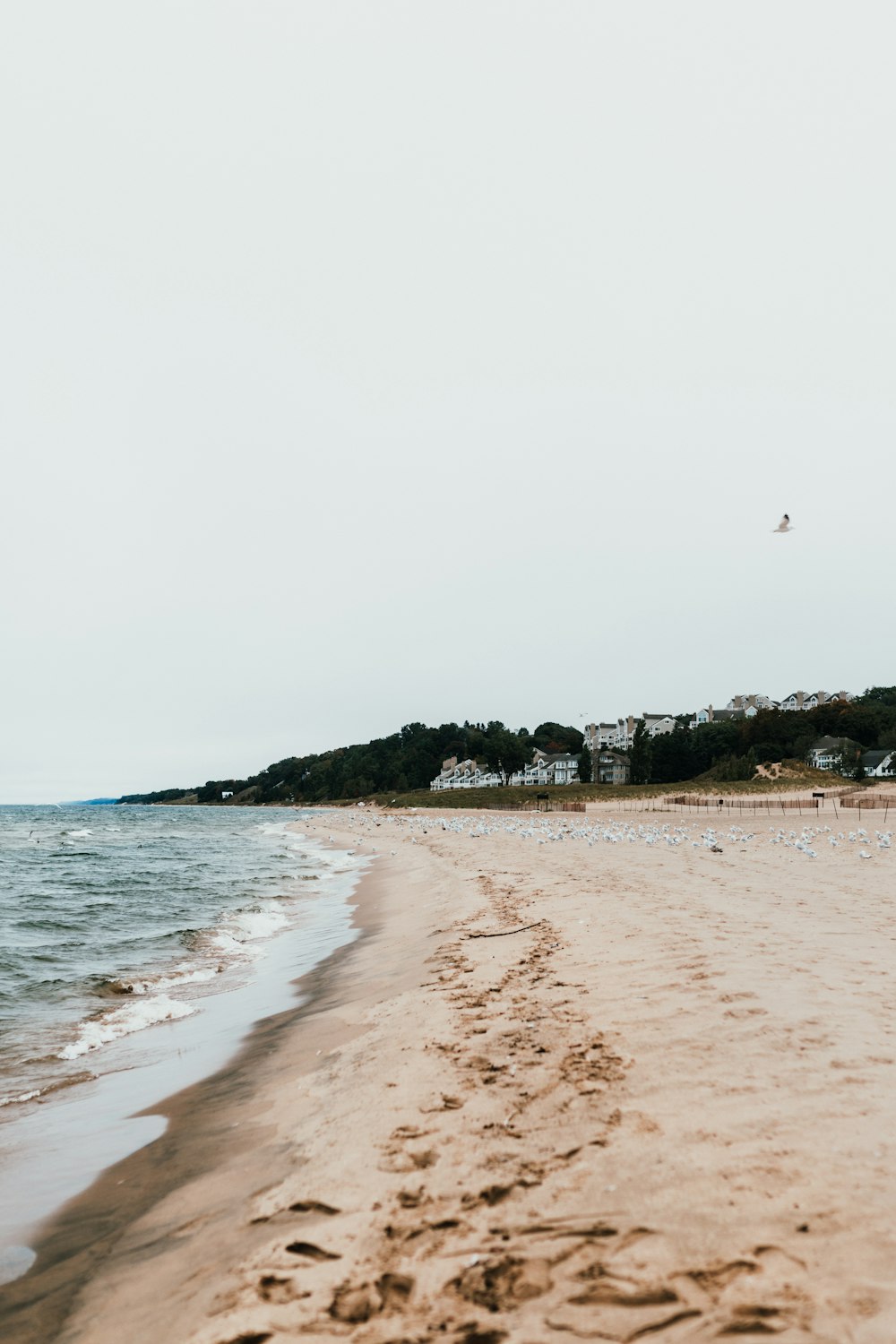 Fußabdrücke am Strand während des Tages