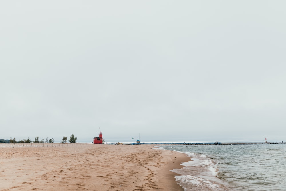 seashore and sea at daytime