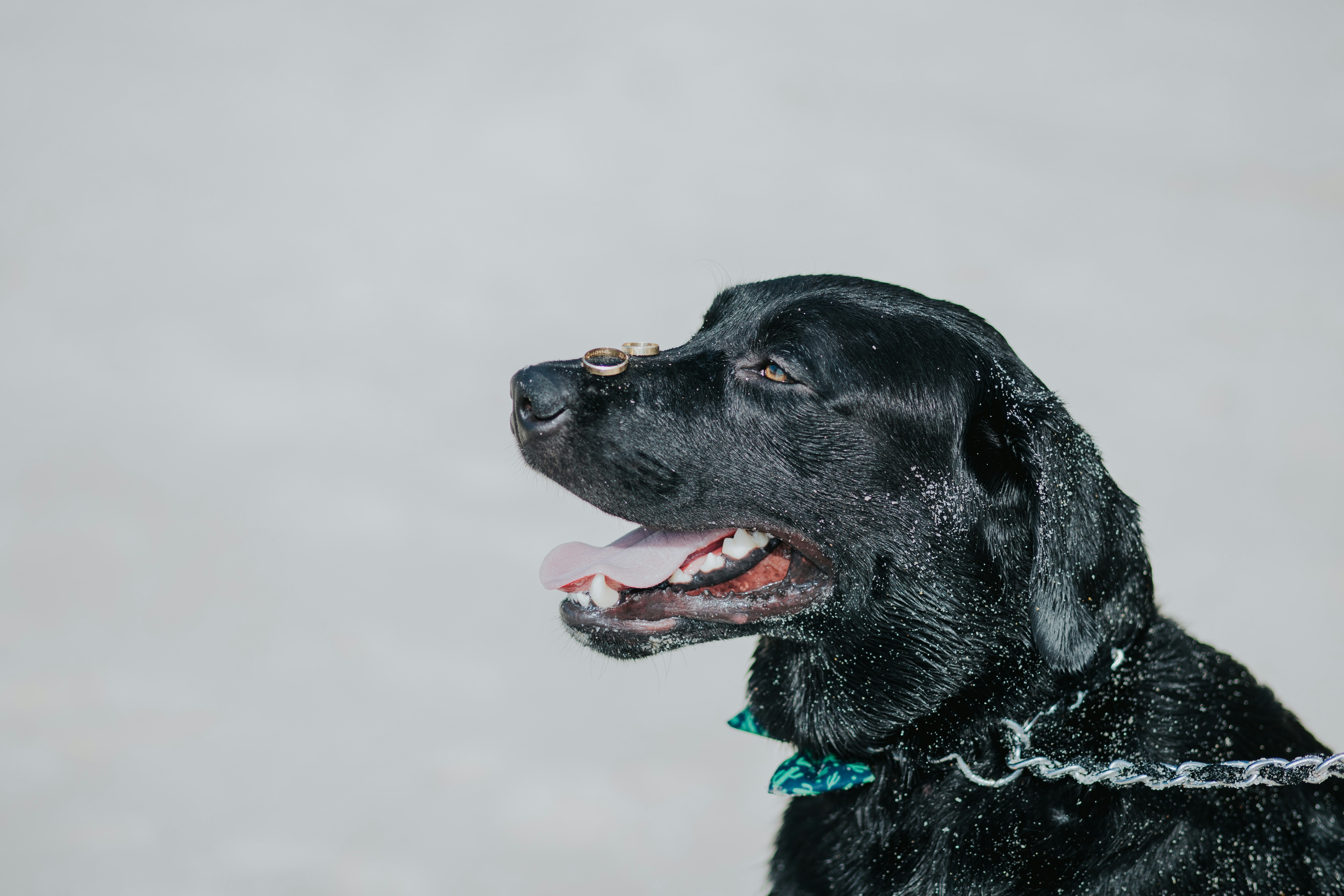 Photo by fernandanuso