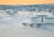 A large cruise ship sails through a misty, wintery landscape with snow-covered hills and trees. The soft orange hue of the sky suggests early morning or late afternoon light.
