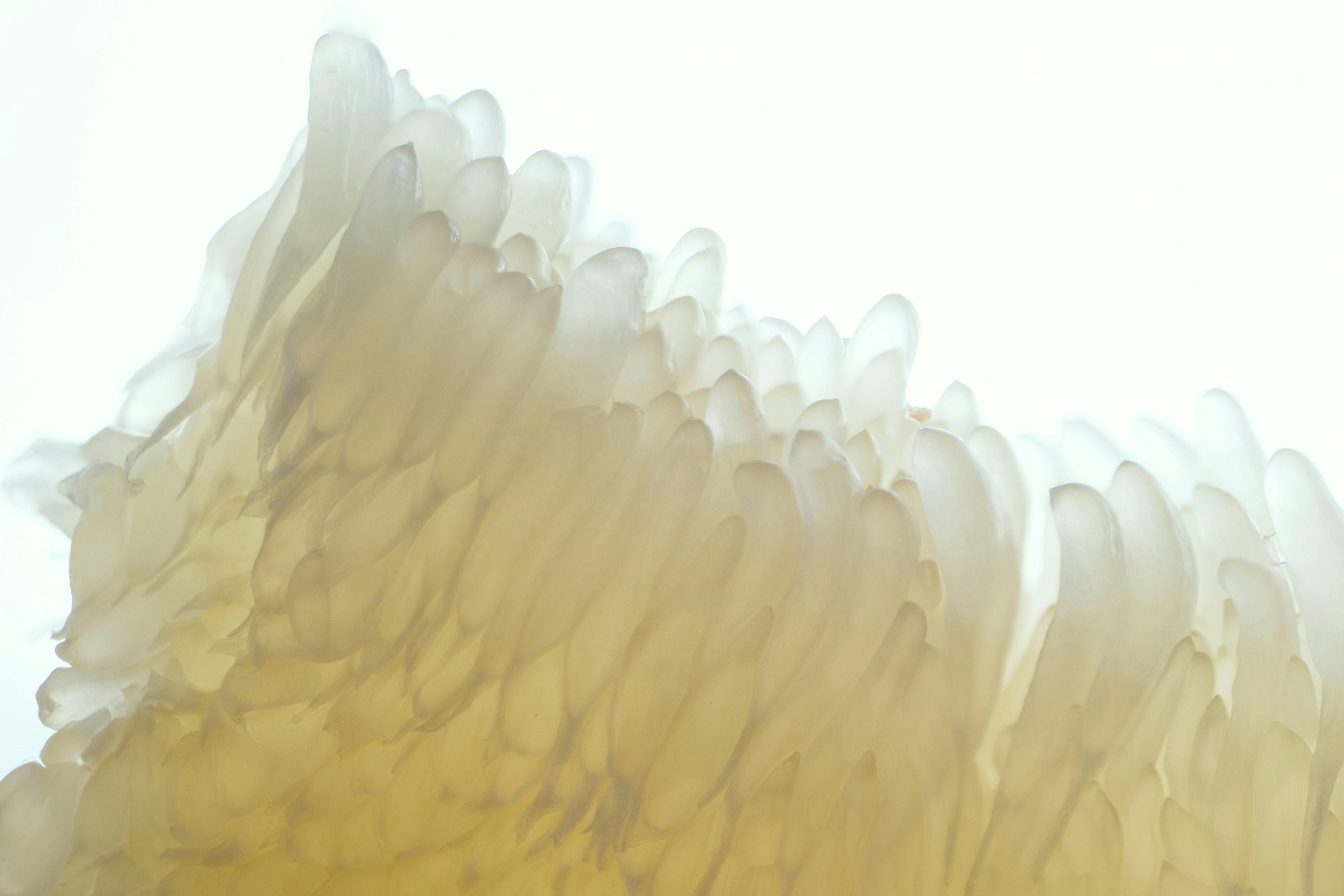 Beauty refills with pulp or how creativity can support a sustainable design approach