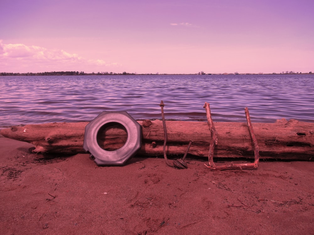 brown log near body of water under gray sky