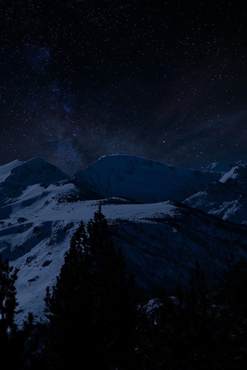 mountains and pine trees at night