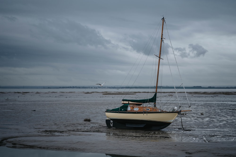 Barco blanco y azul abandonado en la orilla