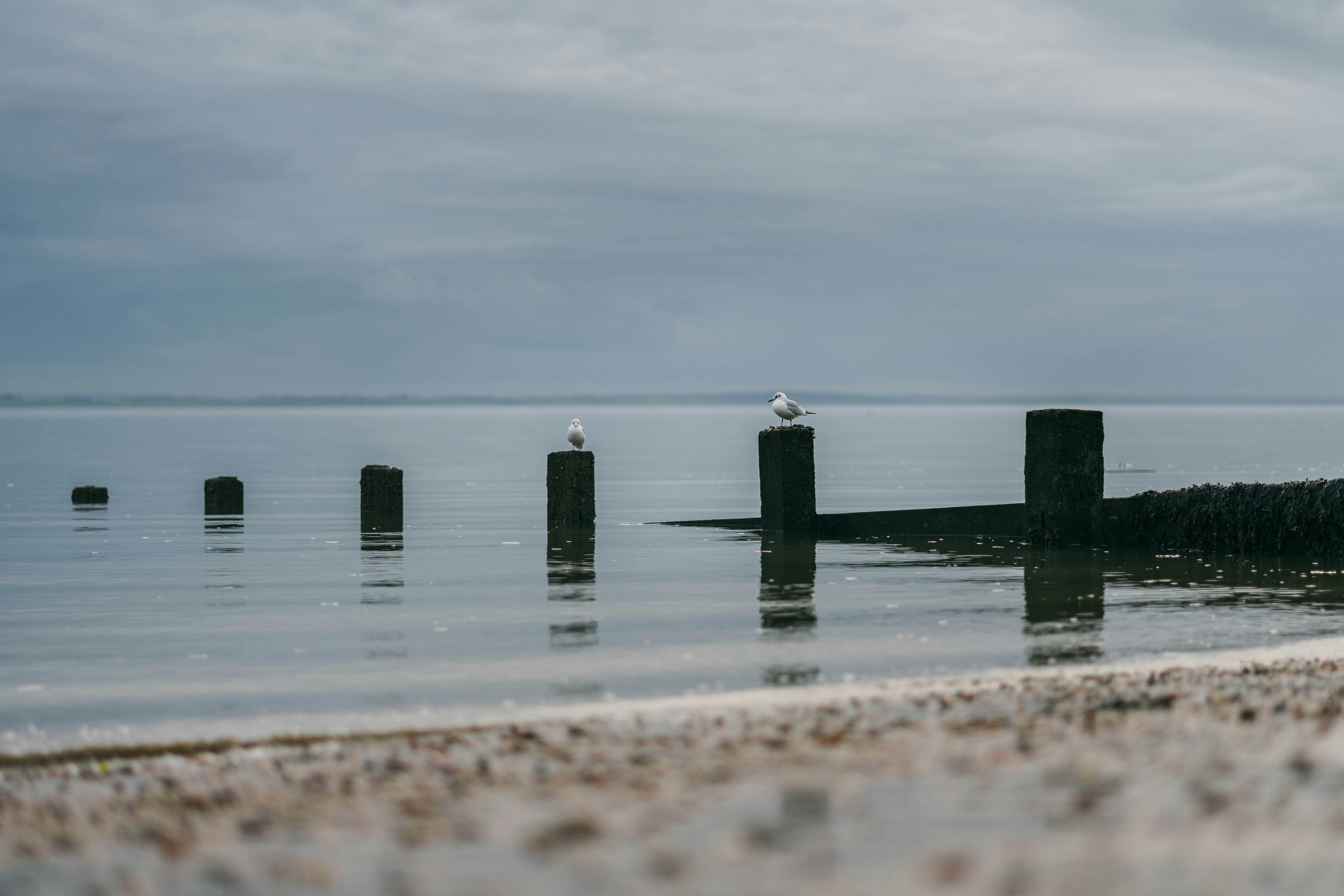 Photo by alexrichardsonphotos