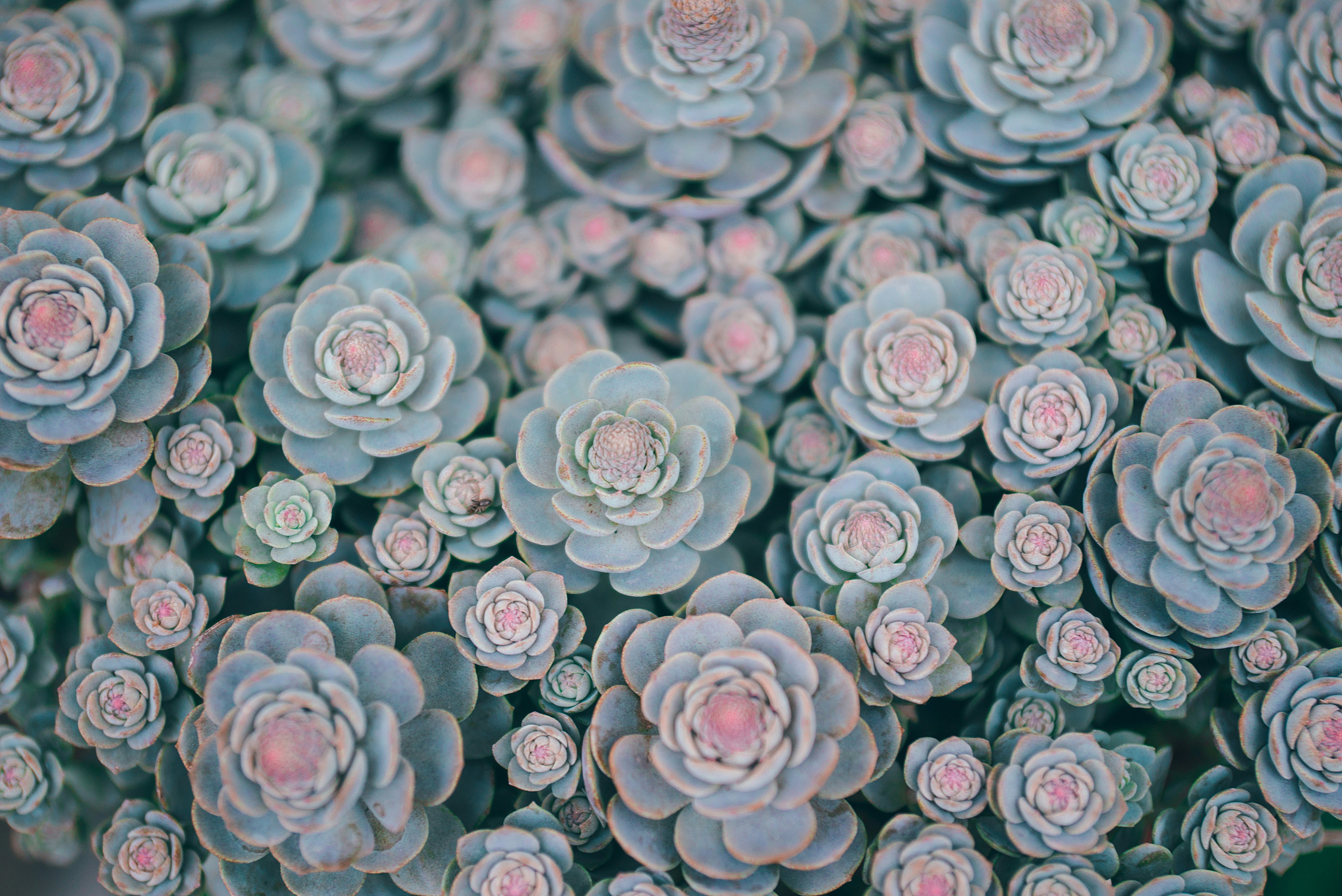 unsplash wallpapers 1080p