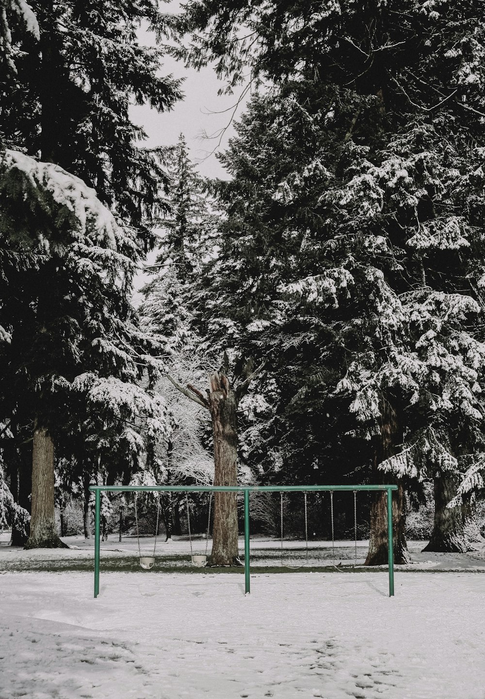 teal metal outdoor swings between trees covered with snow