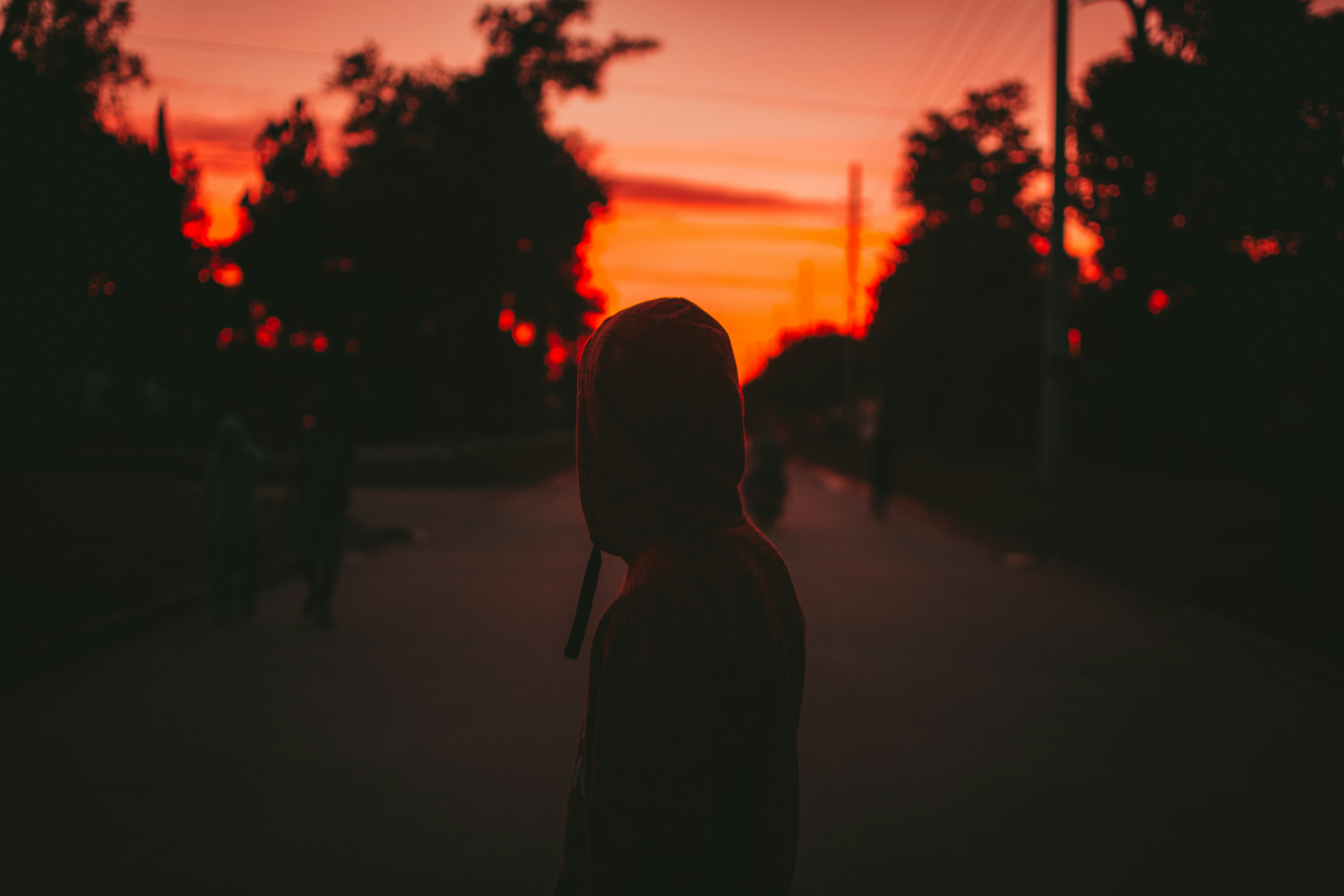 Photo by nicolasflor