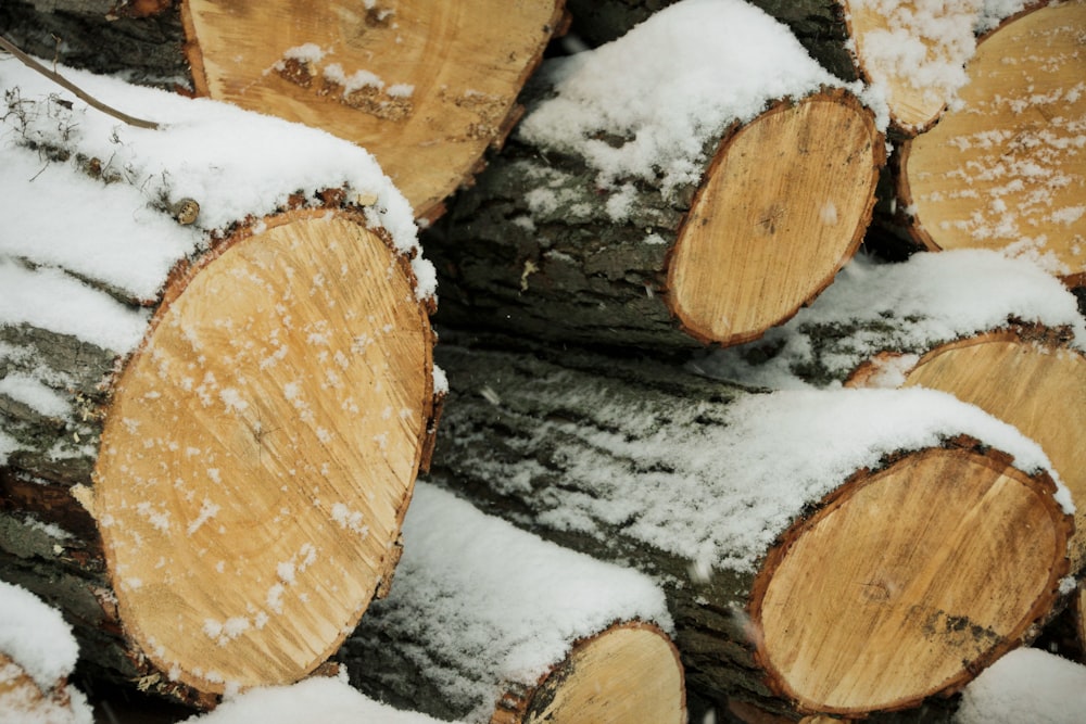 brown and gray cut logs with snow