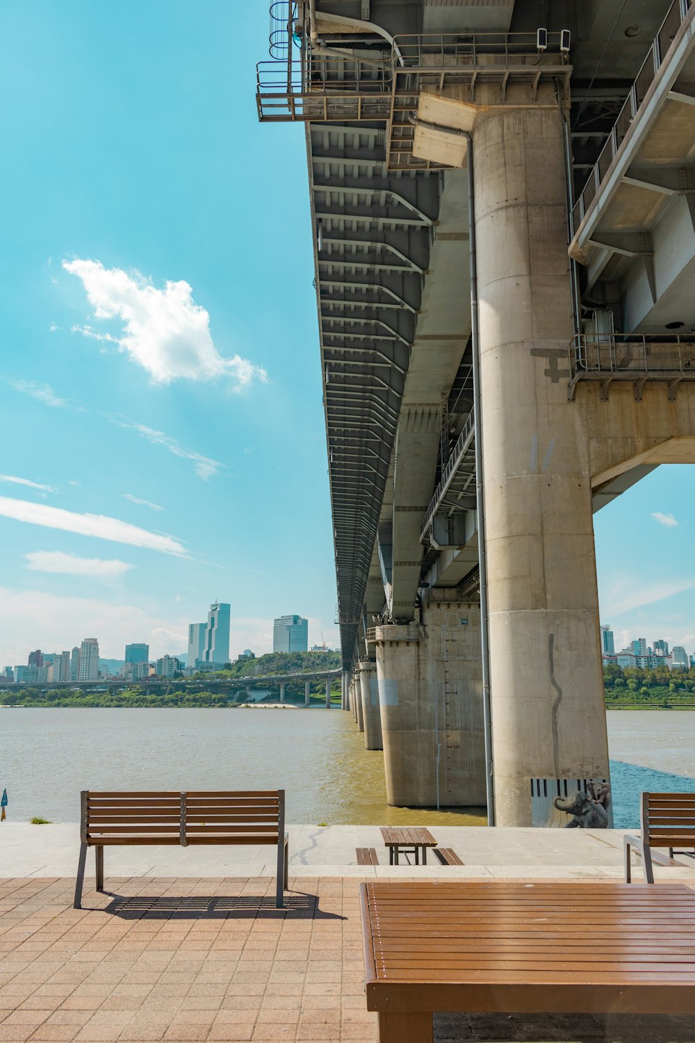 empty benches under concrete bridge at daytime