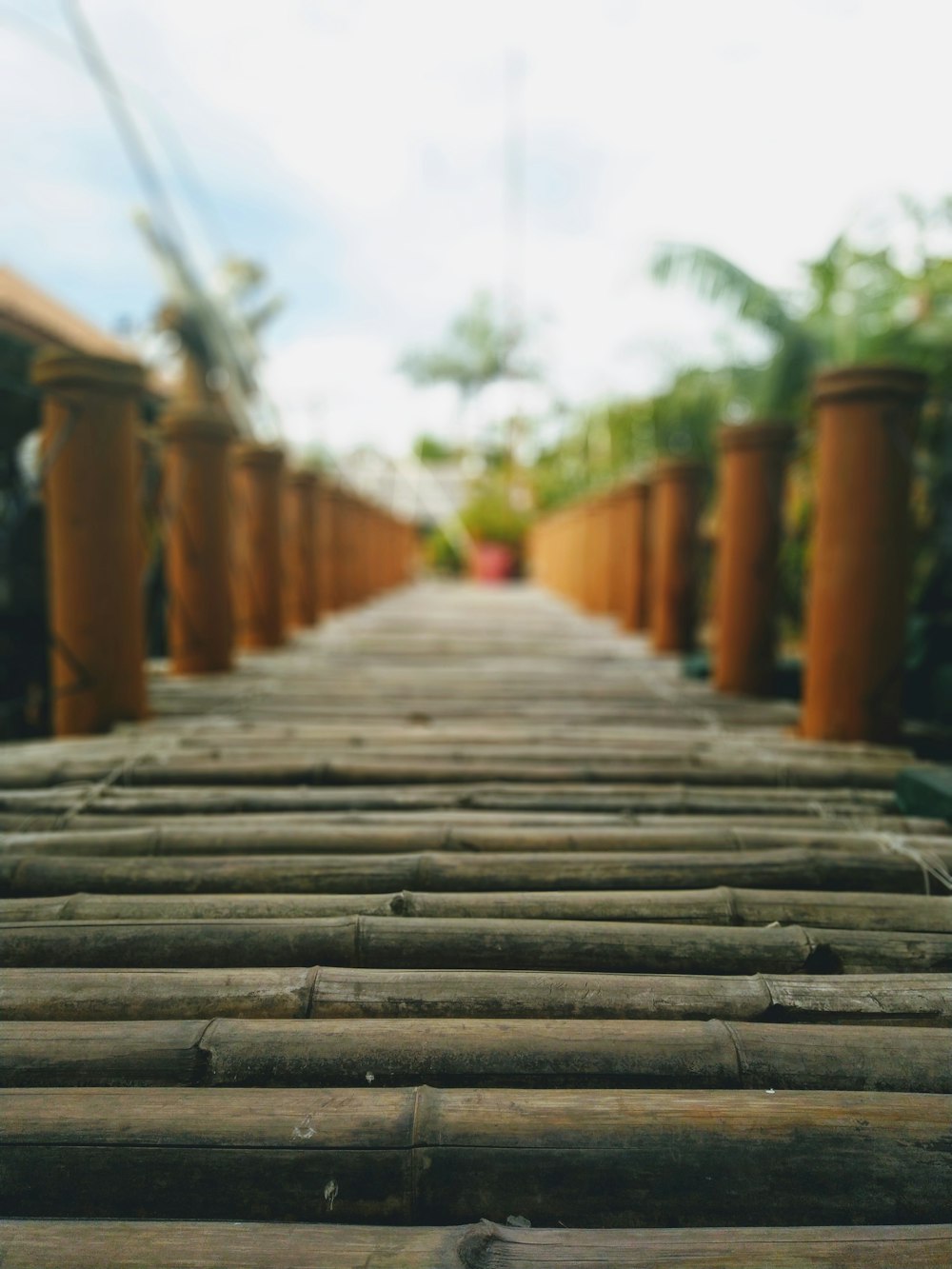 black bamboo bridge