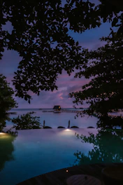 A serene view of the resort's infinity pool overlooking the sparkling ocean at sunset.