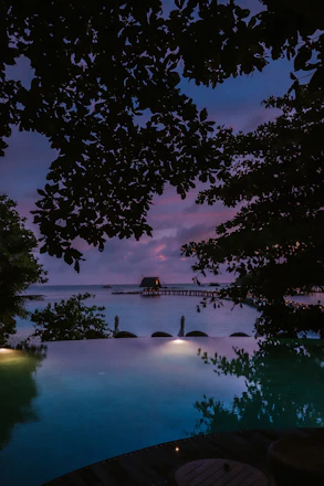 A serene view of the resort's infinity pool overlooking the sparkling ocean at sunset.