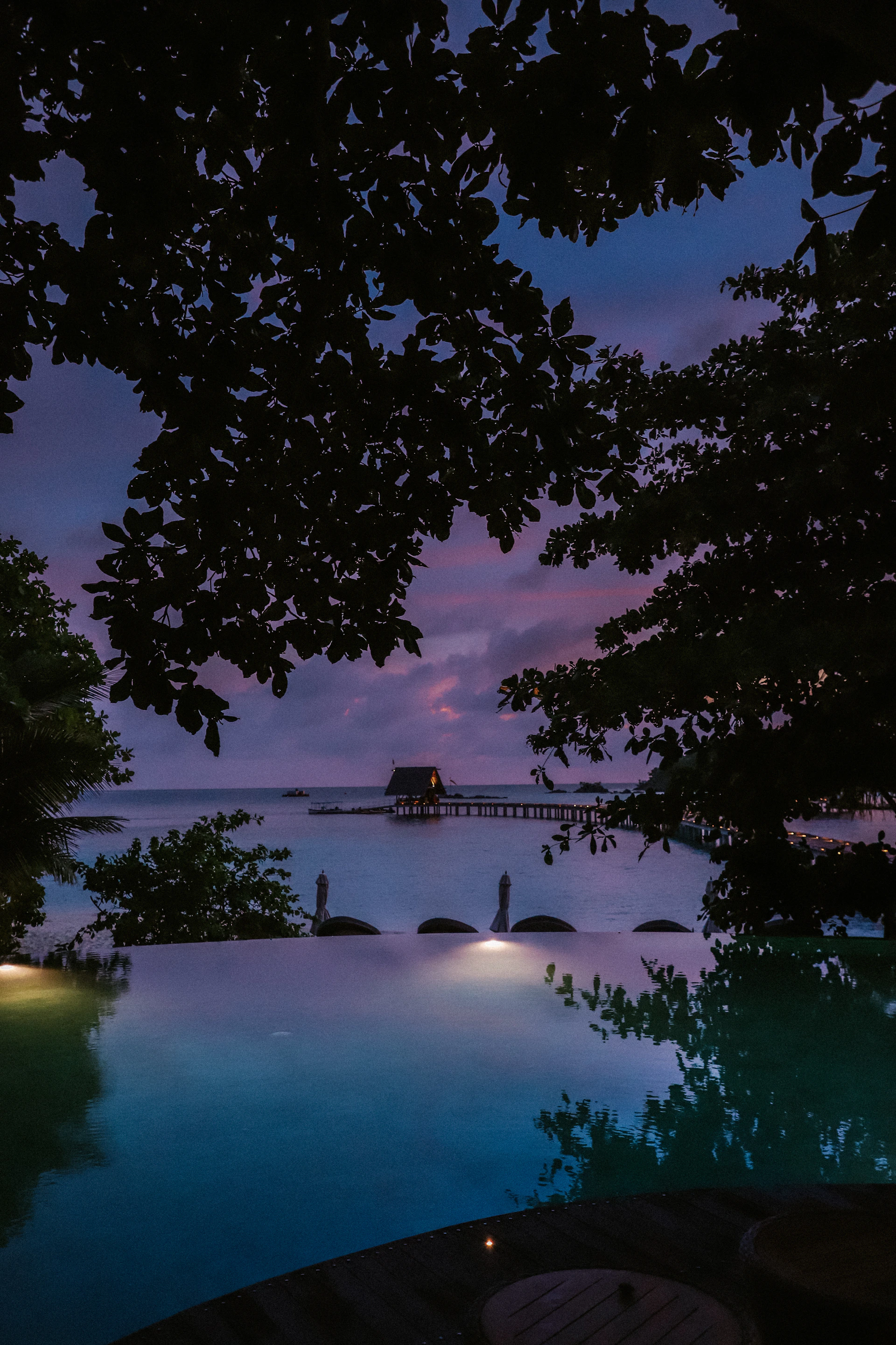 Sunset view over the serene infinity pool framed by lush tropical palms at da bali resort.