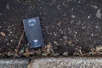 A VHS cassette sits on an asphalt surface next to a concrete curb. The ground is covered with small pebbles and scattered debris, including some dry twigs and leaves.