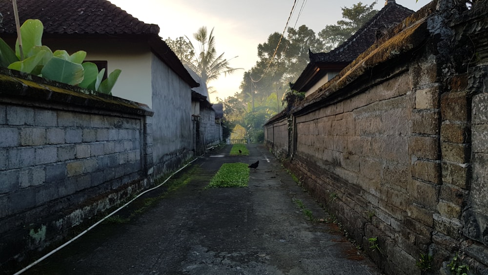 brown and gray alley