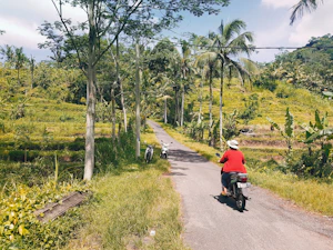 person riding on motorcycle during daytime
