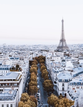 A scenic view of Paris featuring the iconic Eiffel Tower amidst a sprawling cityscape. The streets below are lined with trees, and the architectural style of the surrounding buildings is classic and elegant.