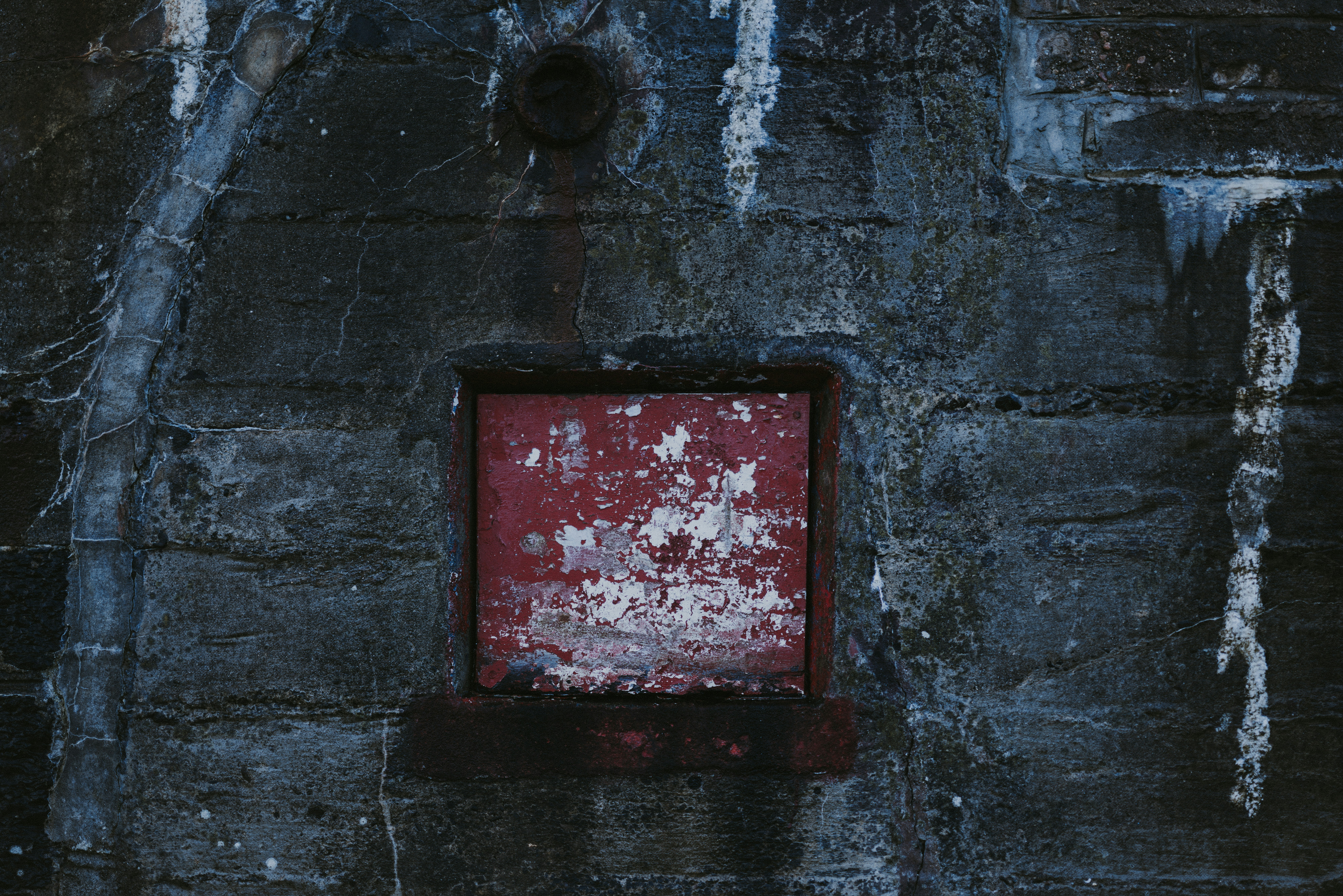 Photo by anniespratt