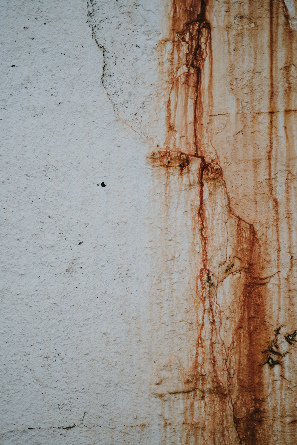 rust coming from white concrete
