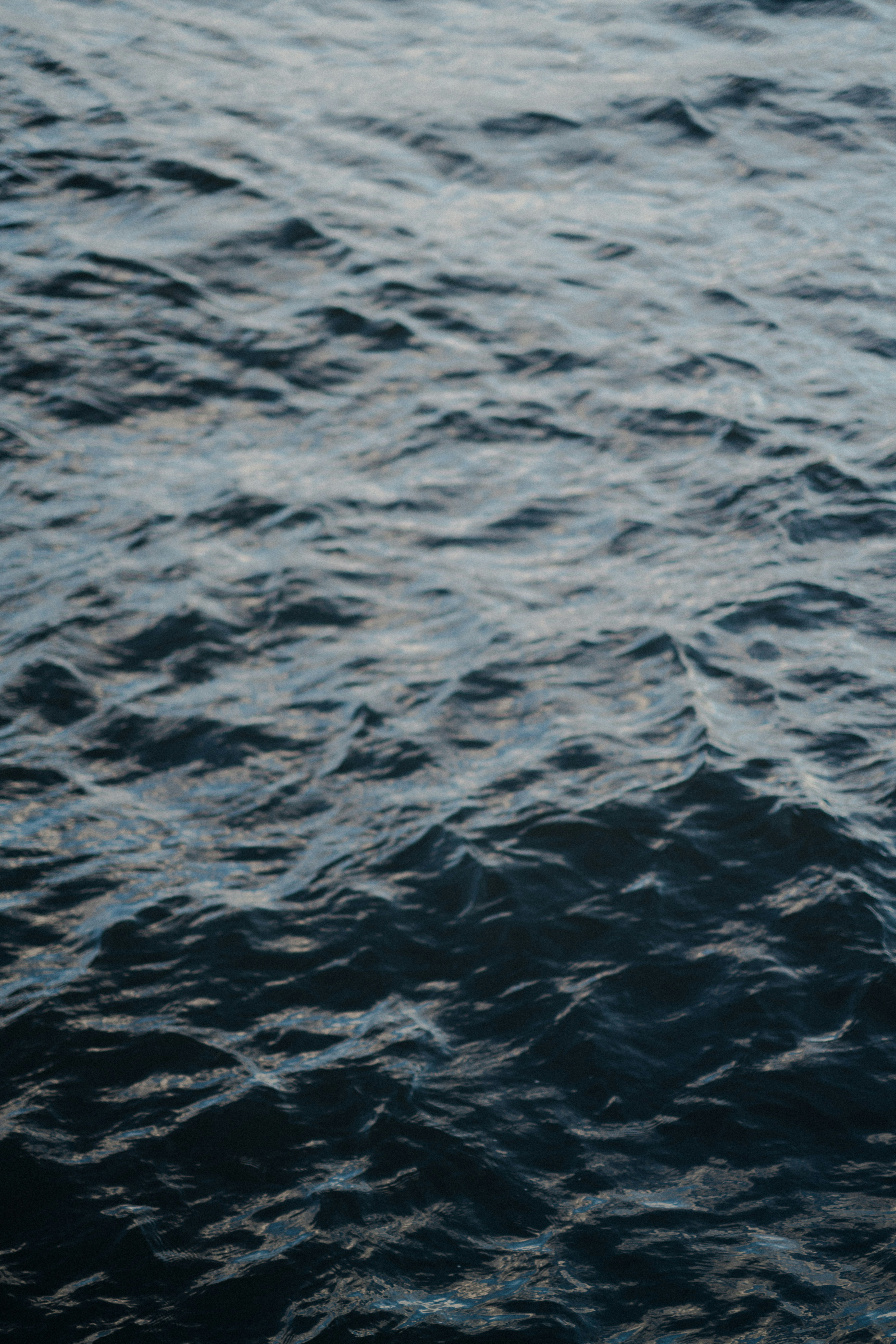 Photo by anniespratt