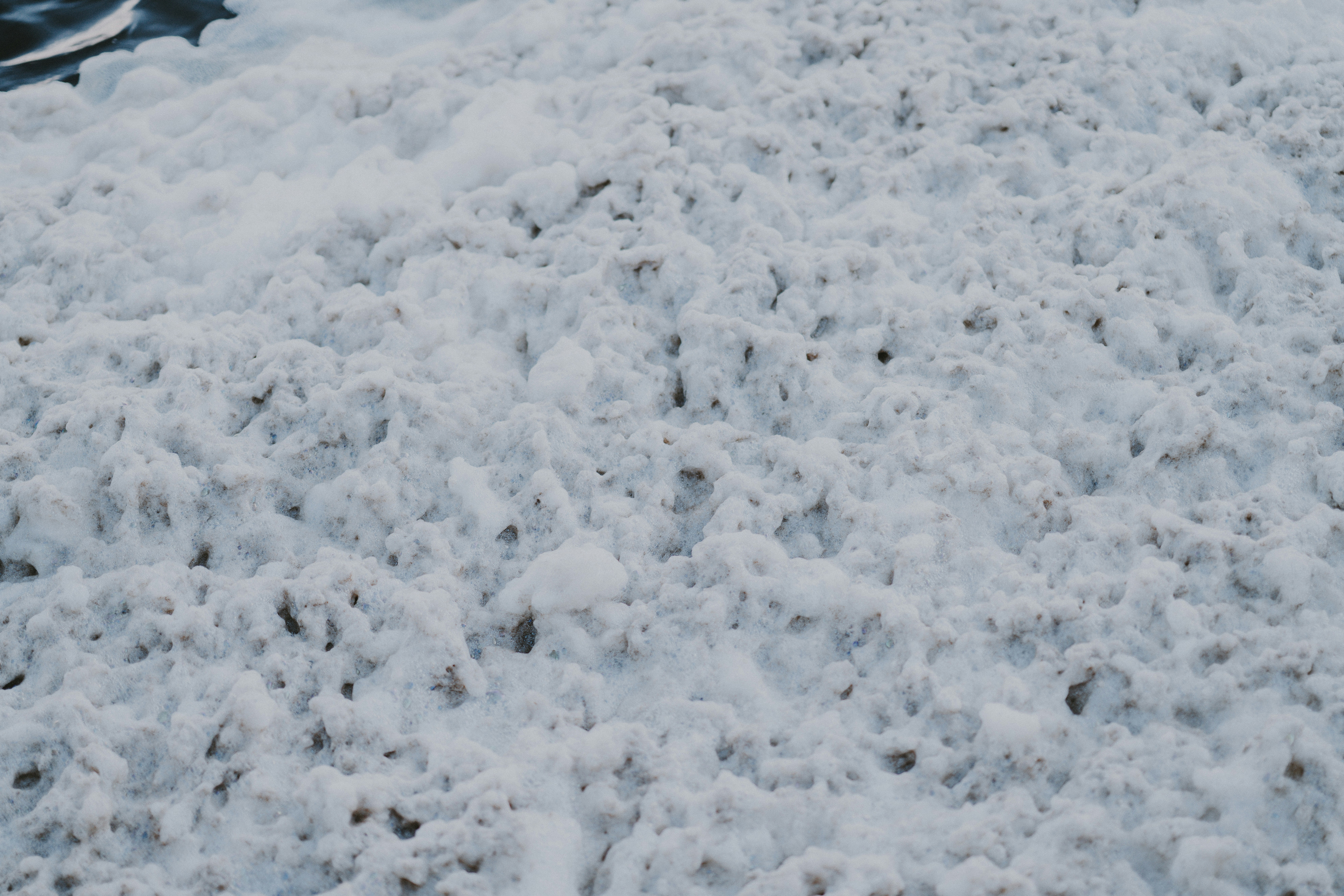 눈 속에서 수레에 앉아있는 고양이 사진 – Unsplash의 무료 고양이 이미지, image size:3000x2001