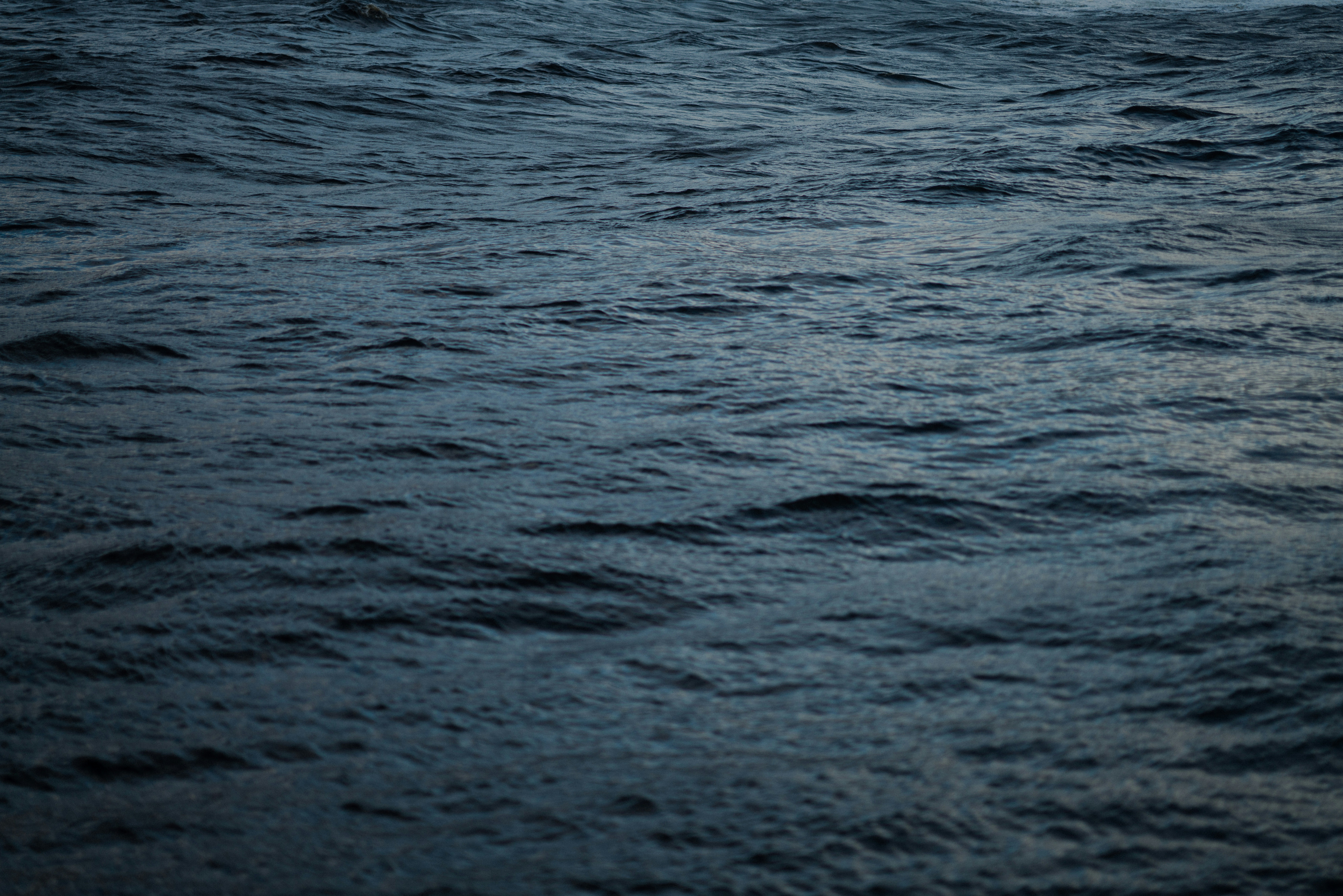 Photo by anniespratt