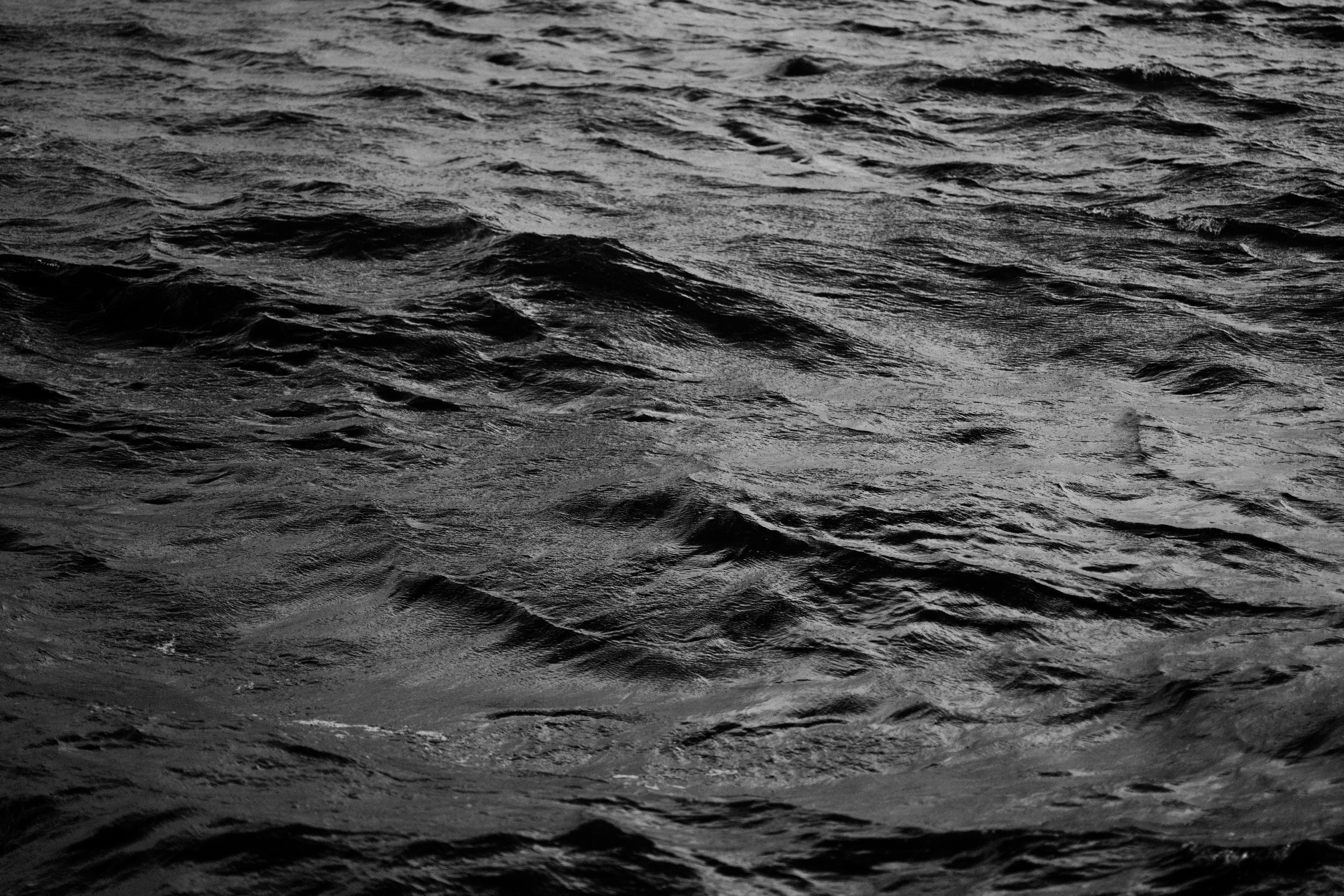 Photo by anniespratt