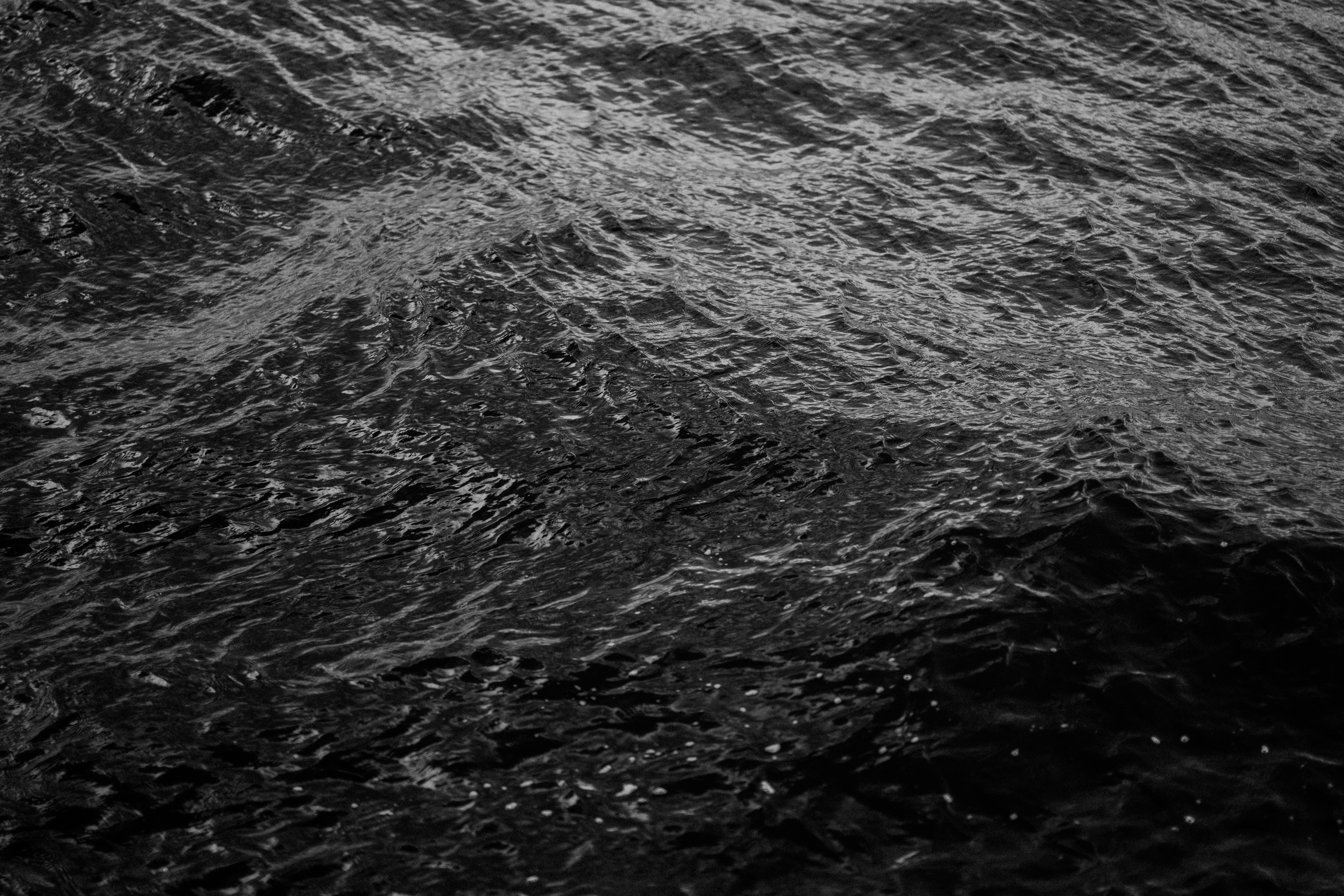 Photo by anniespratt