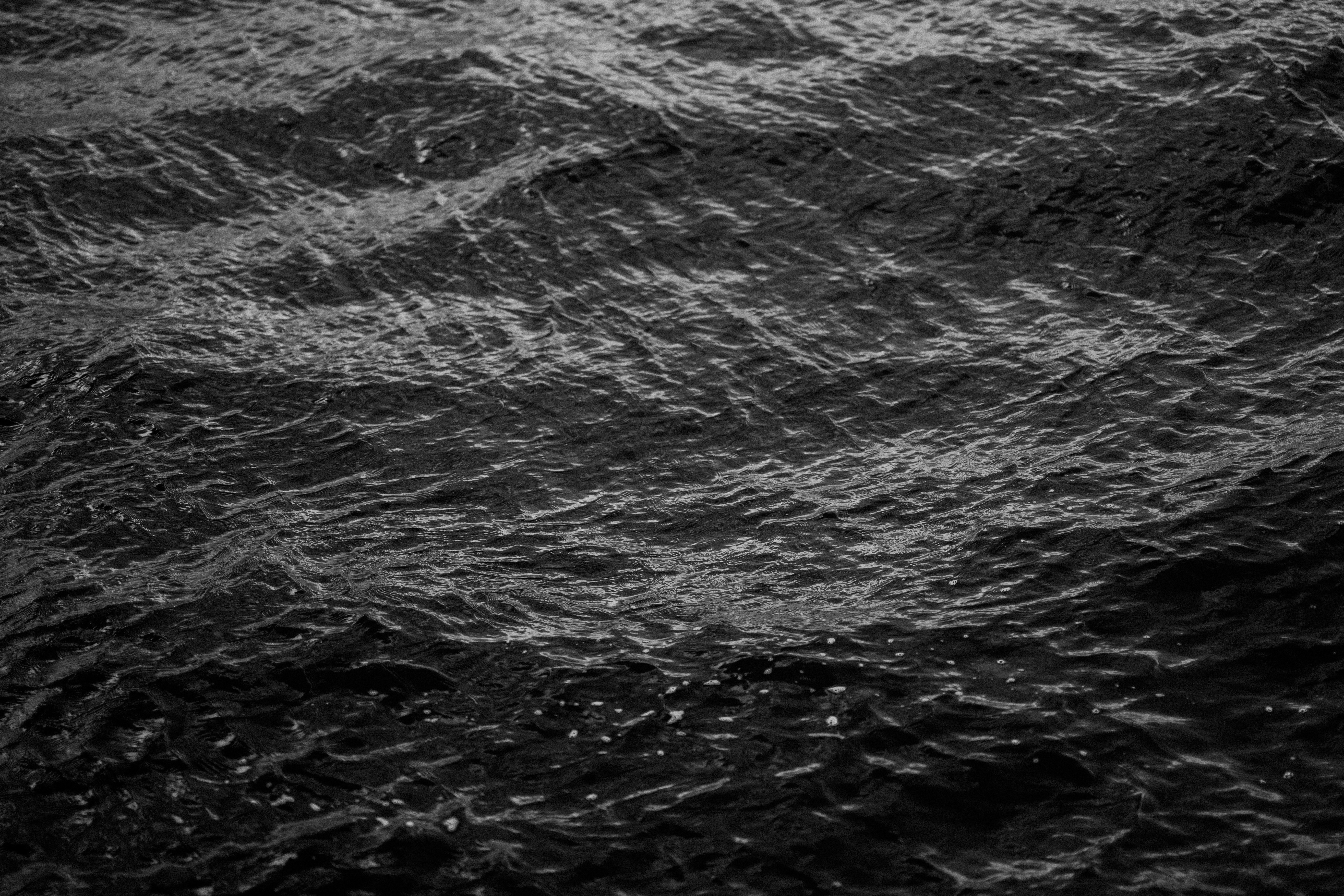 Photo by anniespratt