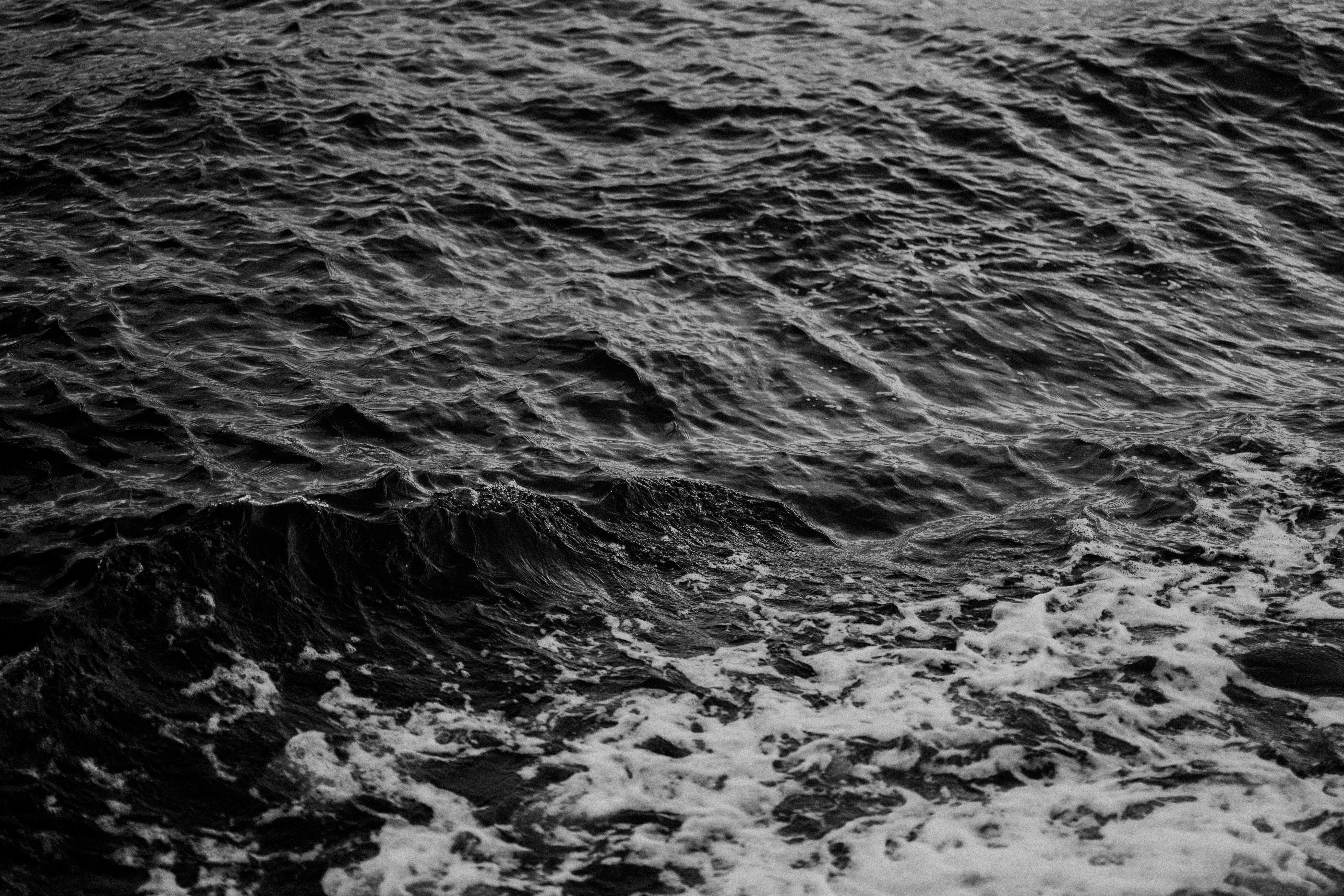 Photo by anniespratt