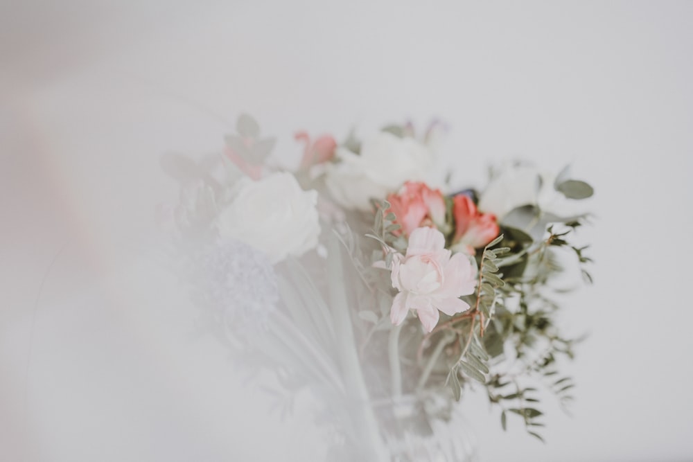 white and red petaled flower in vase