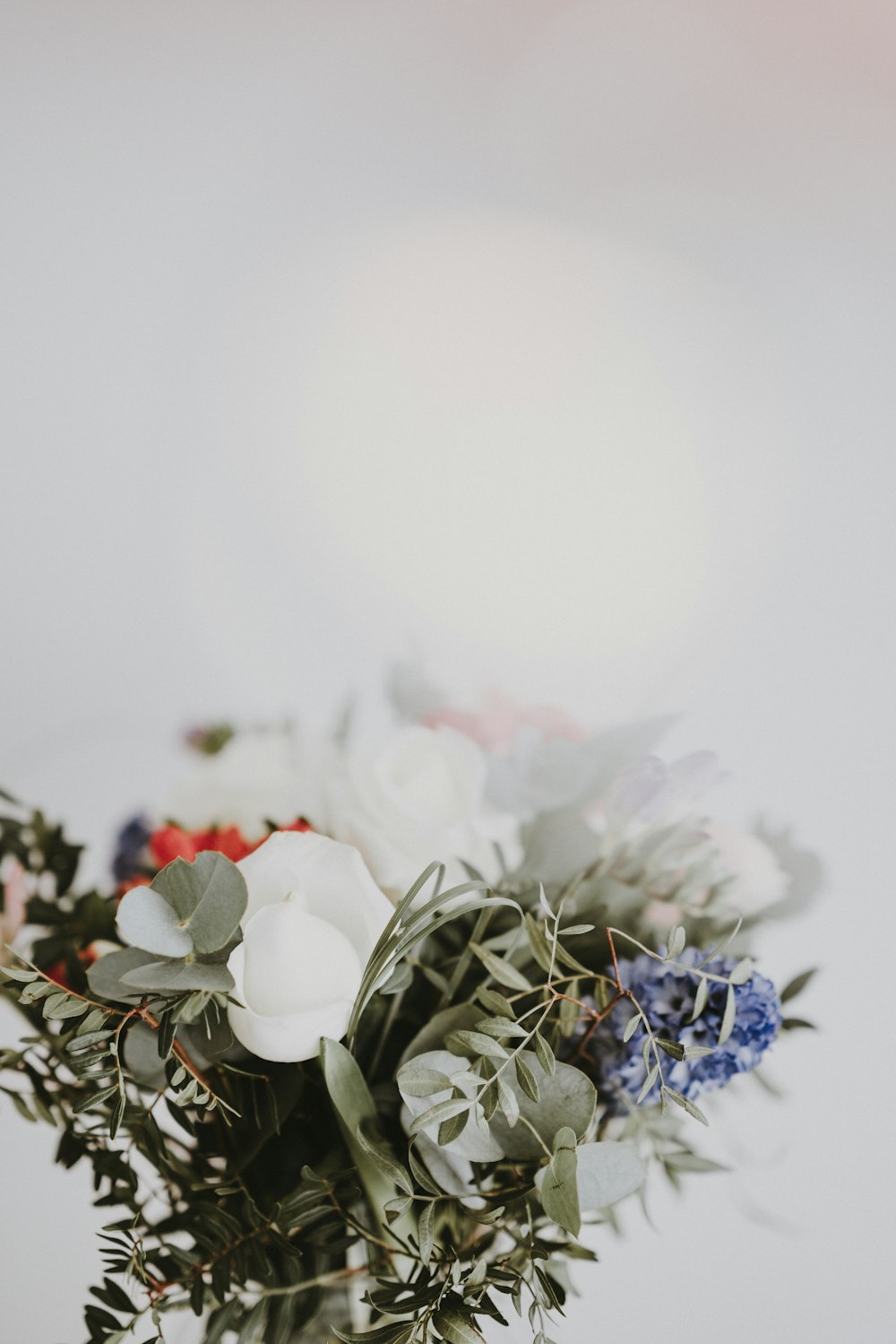 white-petaled flower