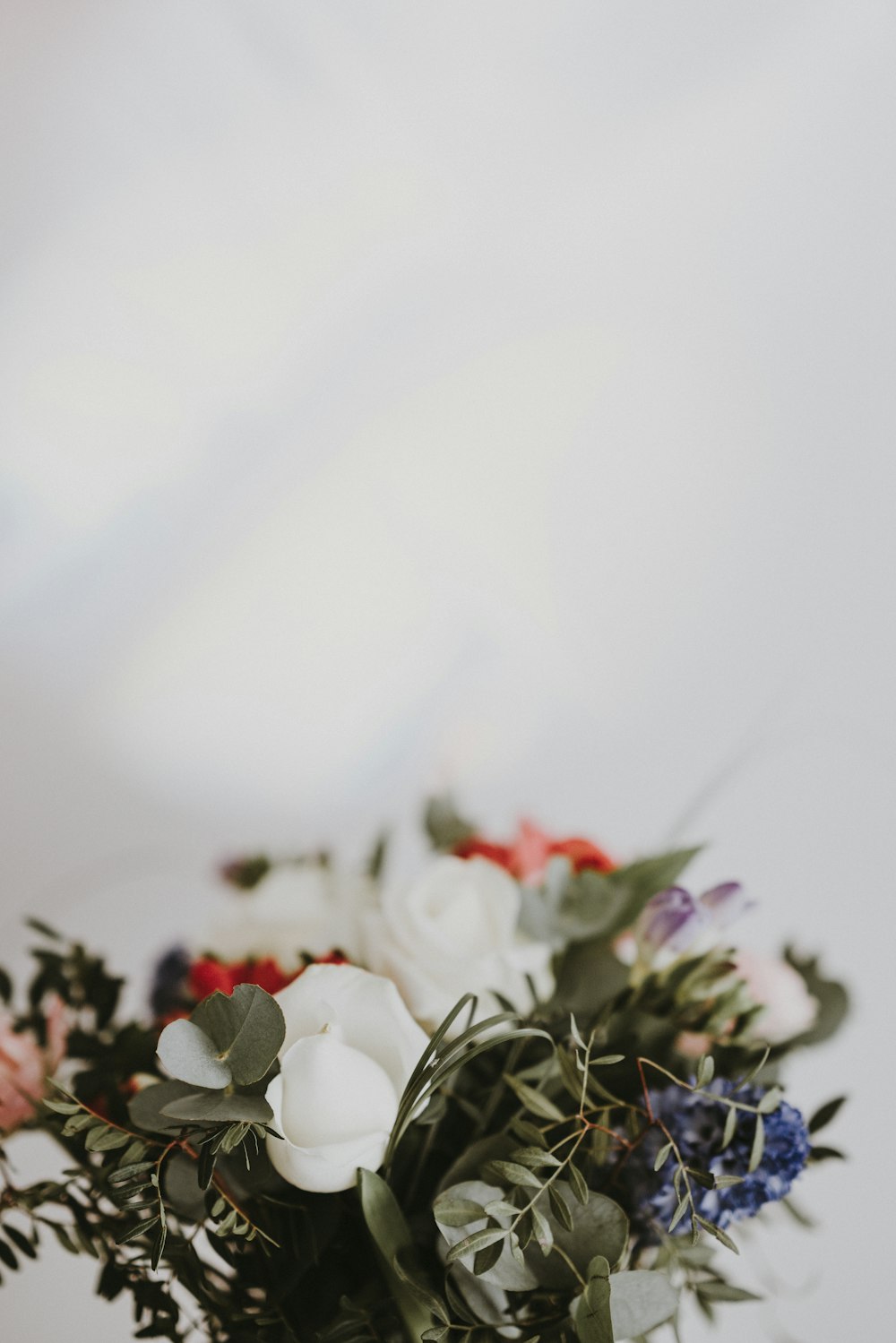 white roses