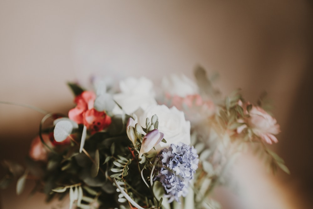 white, purple, and pink flowers