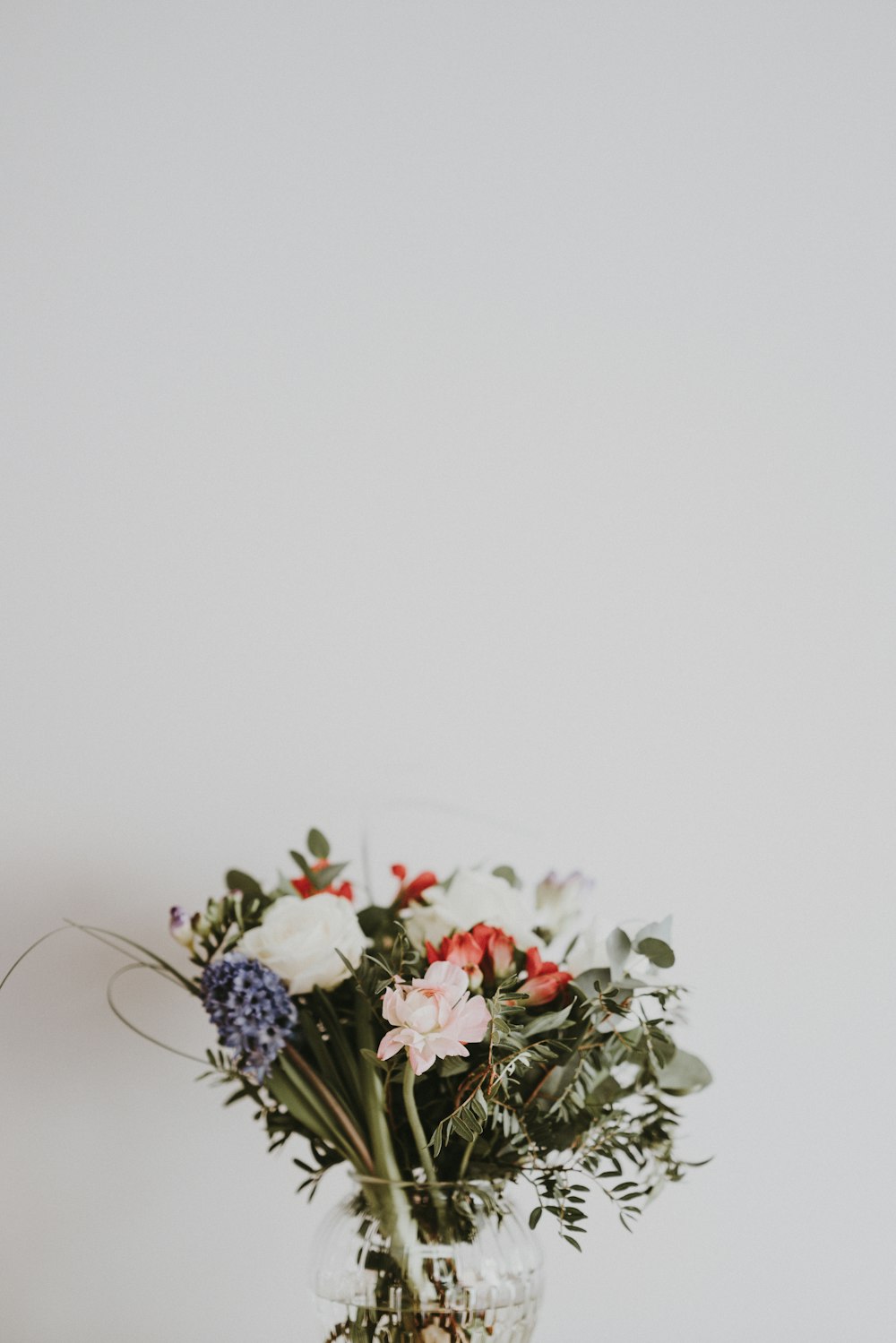 투명 유리 꽃병에 흰색과 빨간색 꽃