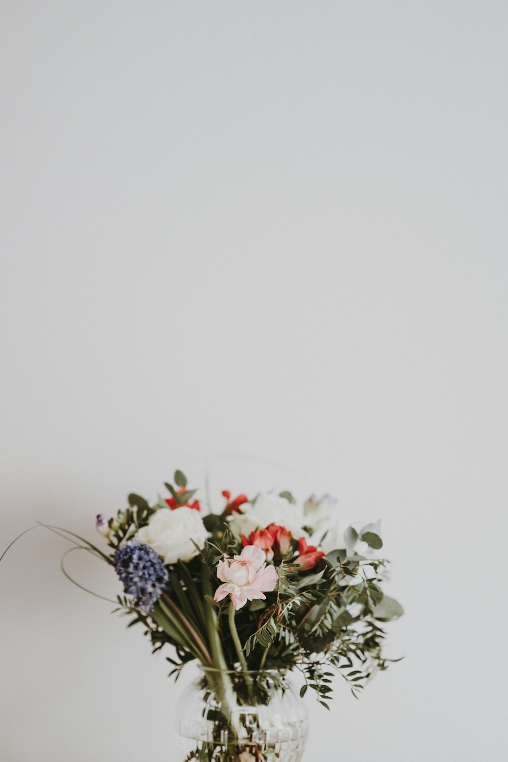 Fleur blanche et rouge dans un vase en verre transparent