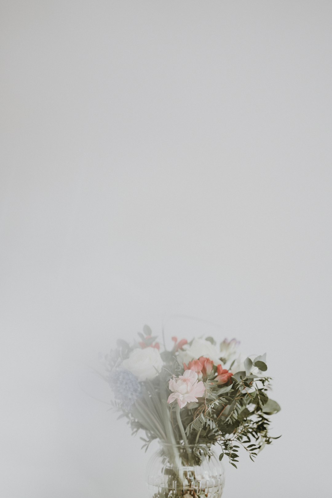 white petaled flowers in vase