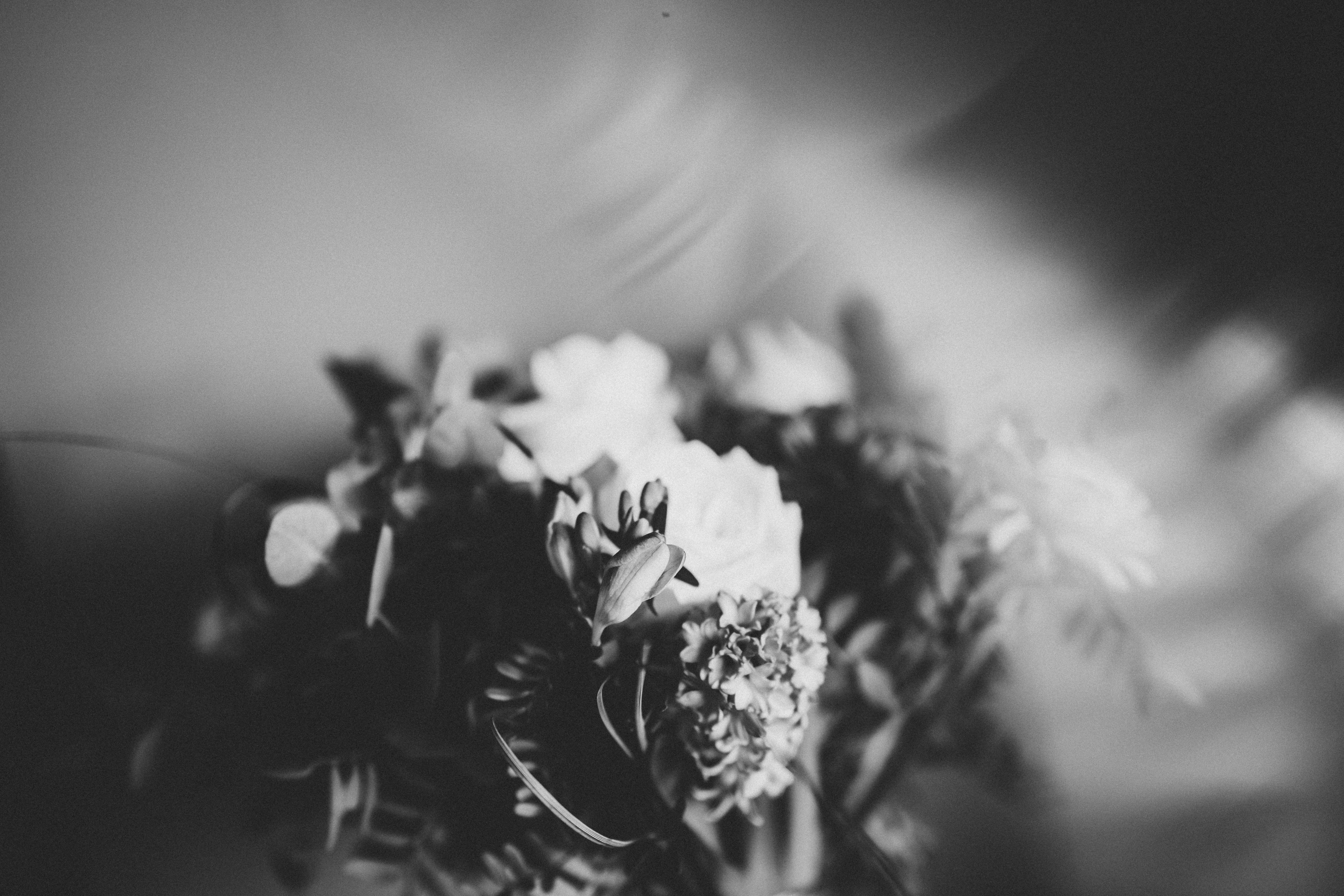 White Flowers Bouquet Pictures Download Free Images On Unsplash