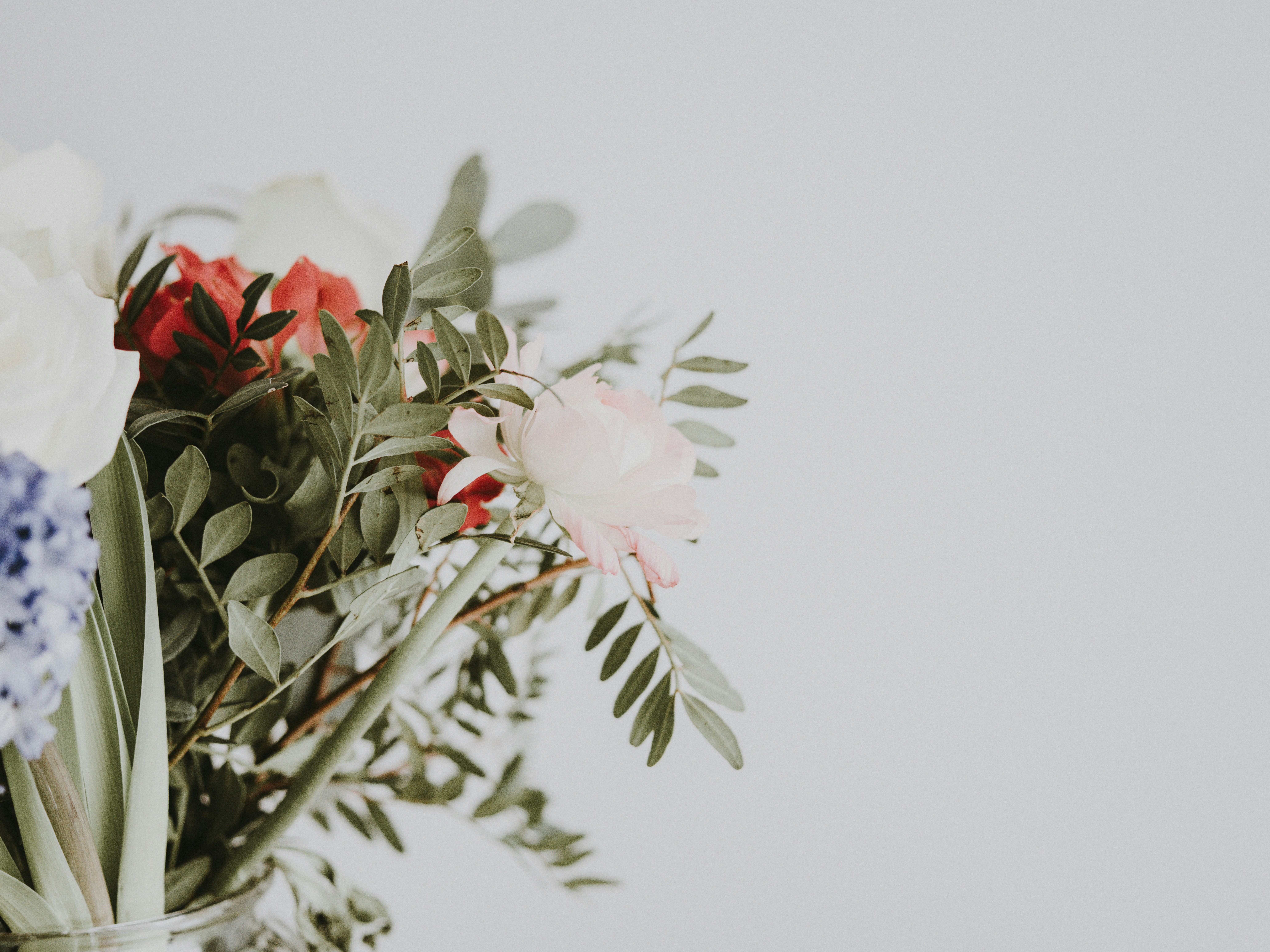 Photo by anniespratt