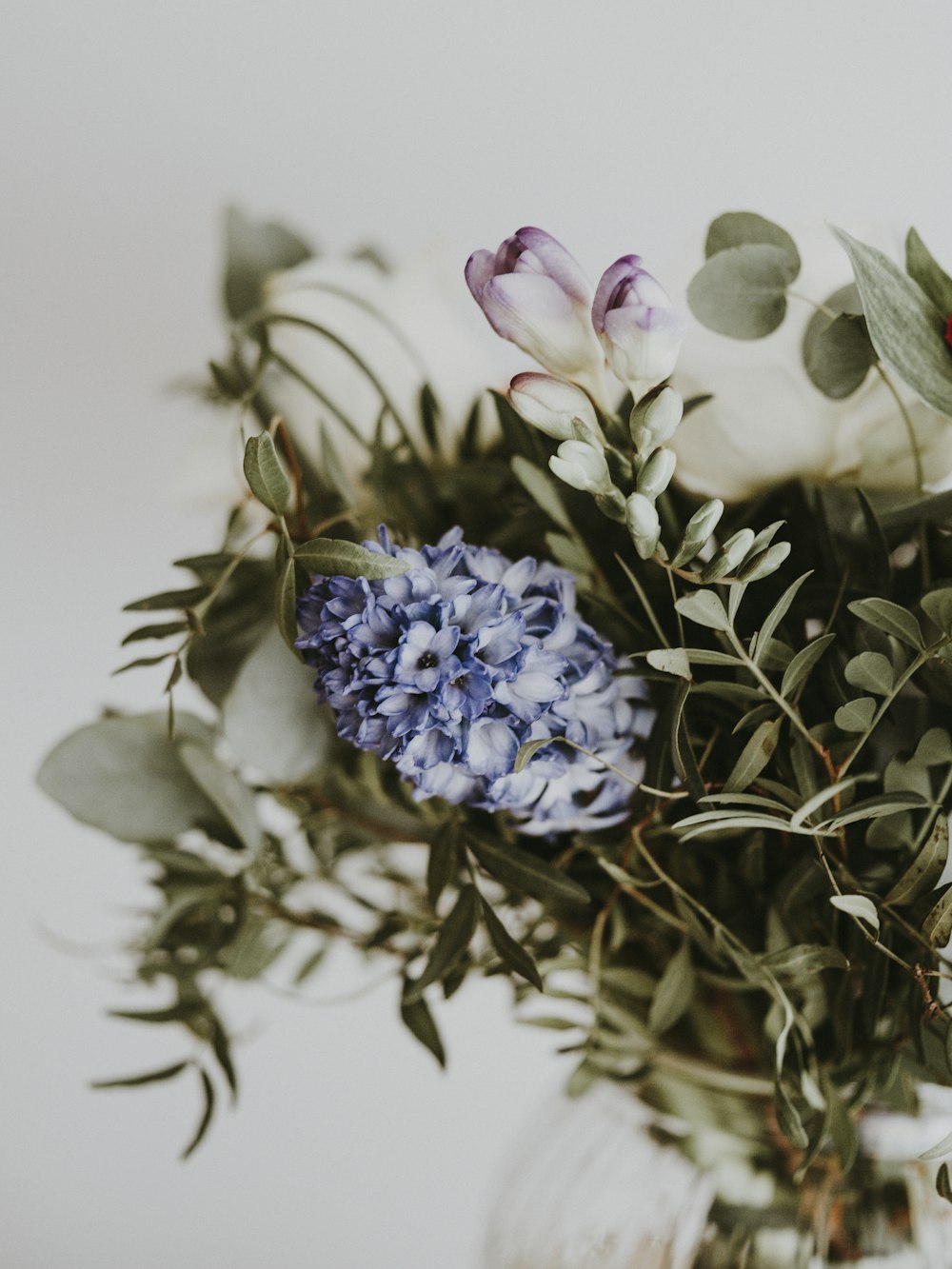 blue-petaled flowers