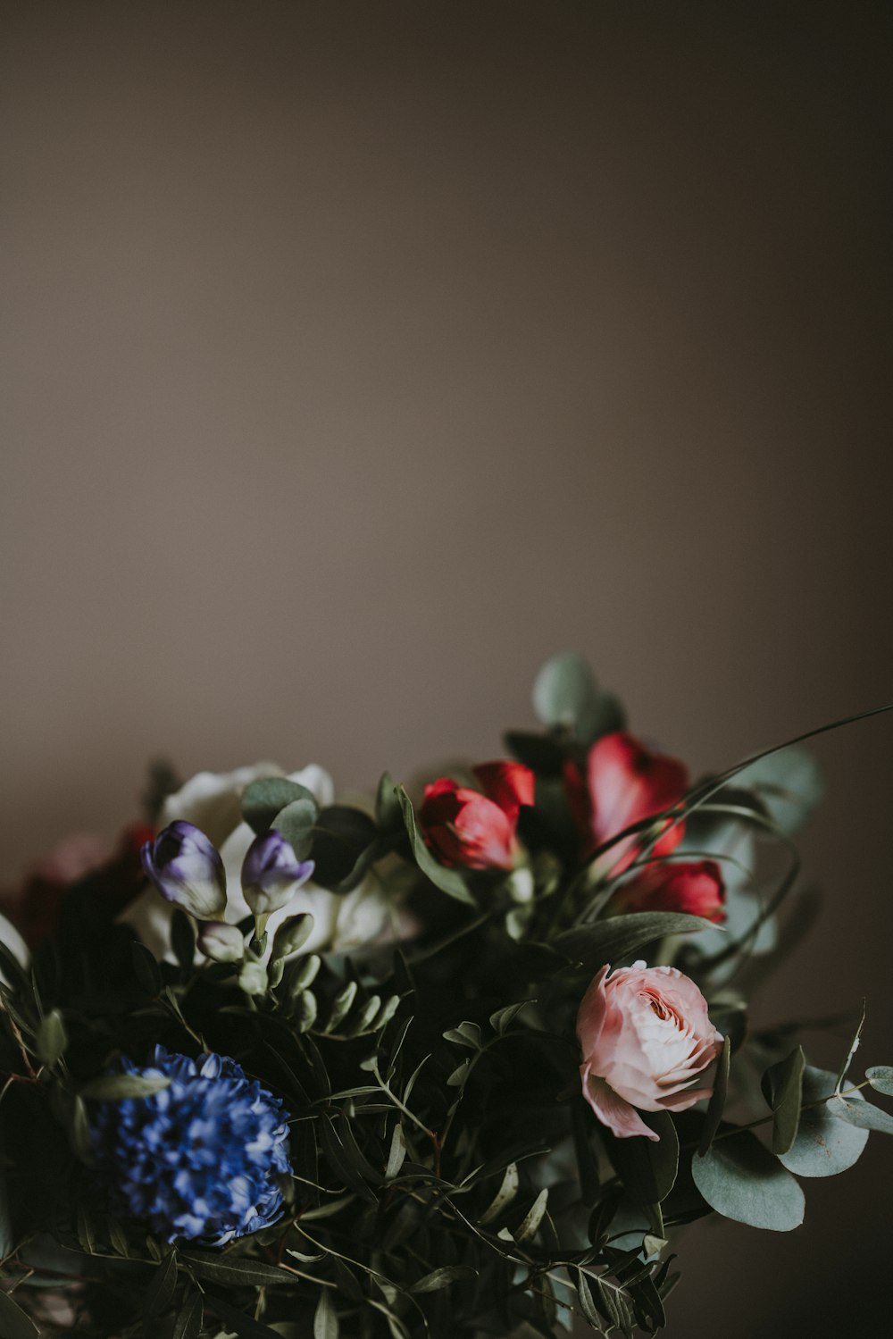 blue and red flowers in bloom