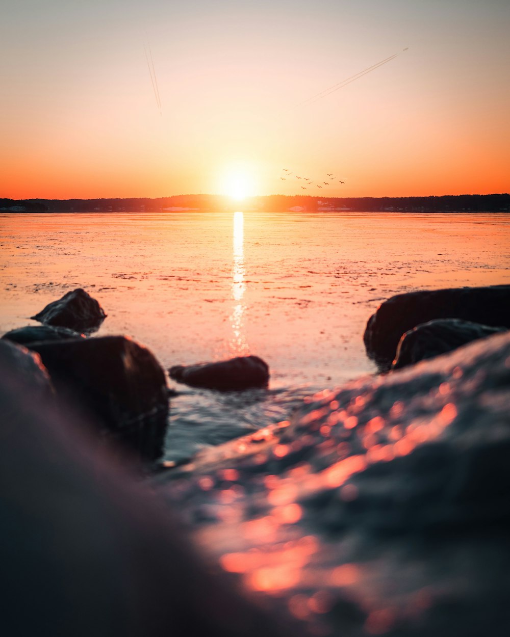 body of water during golden hour