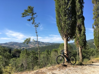A serene landscape showcasing cycling trails.