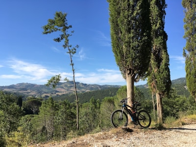 A serene landscape showcasing cycling trails.