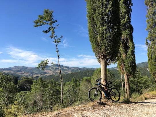 A serene landscape featuring rolling hills under a clear blue sky. Tall, slender trees line the right side, casting shadows on the rocky path. Two bicycles rest against one of the trees, suggesting a momentary pause in a journey.