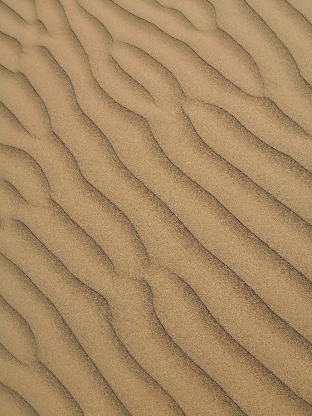 una duna di sabbia con linee ondulate nella sabbia